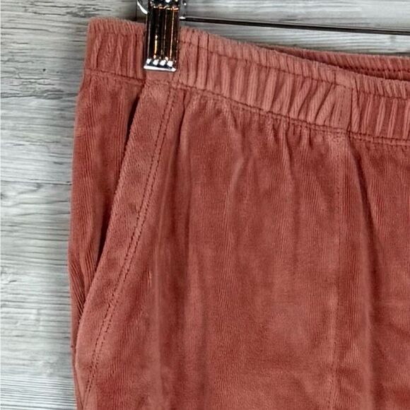 Aerie Warm Rose Velour Joggers - Picture 5 of 5
